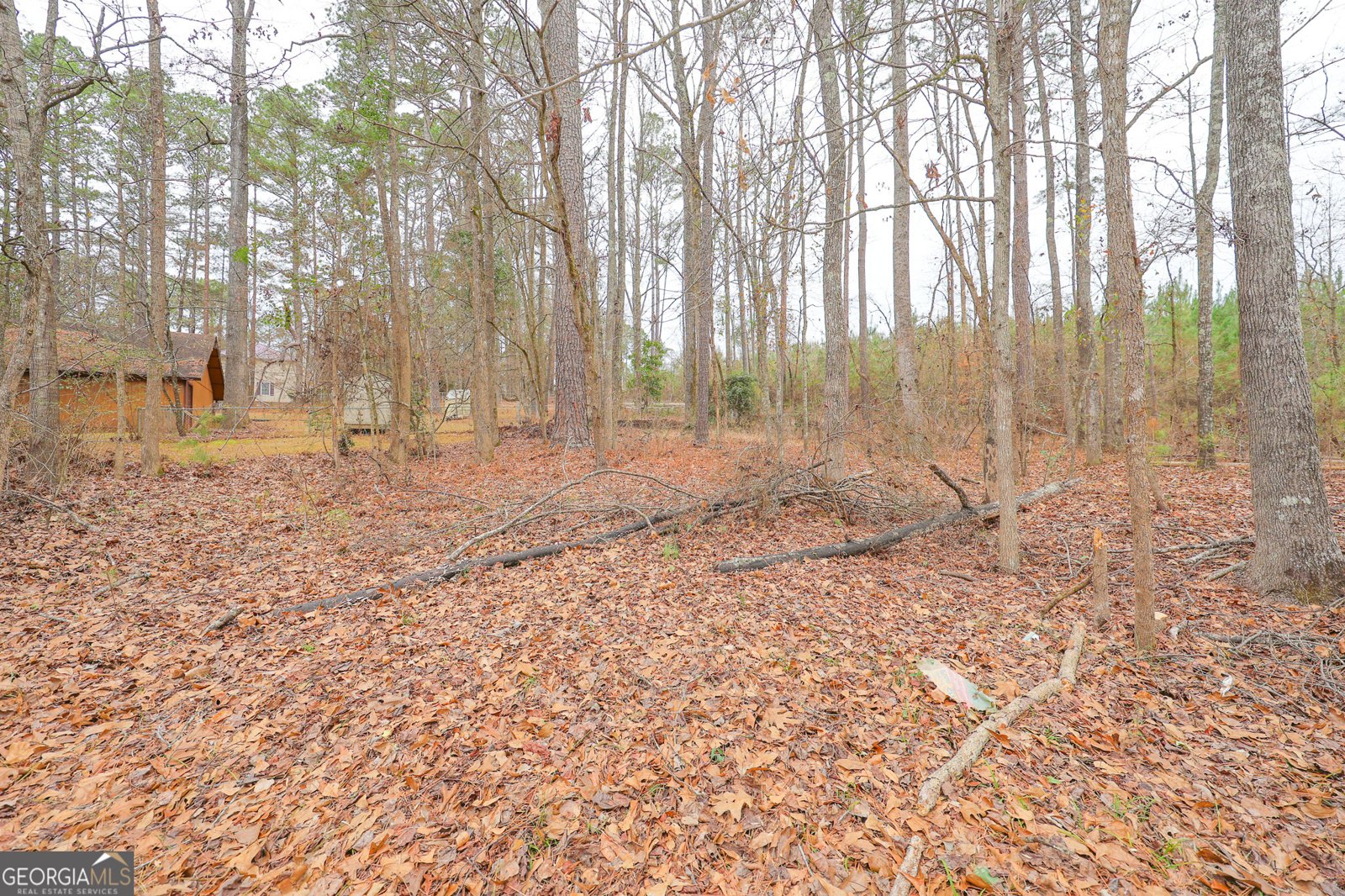 207 View Pointe Drive Lagrange - Photo 61