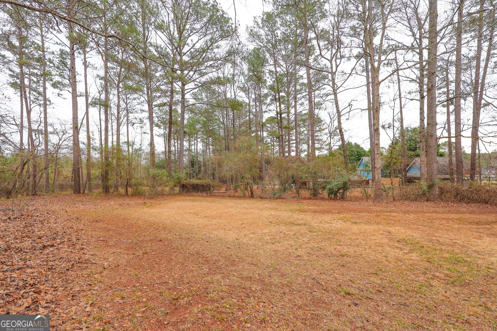 207 View Pointe Drive Lagrange - Photo 63