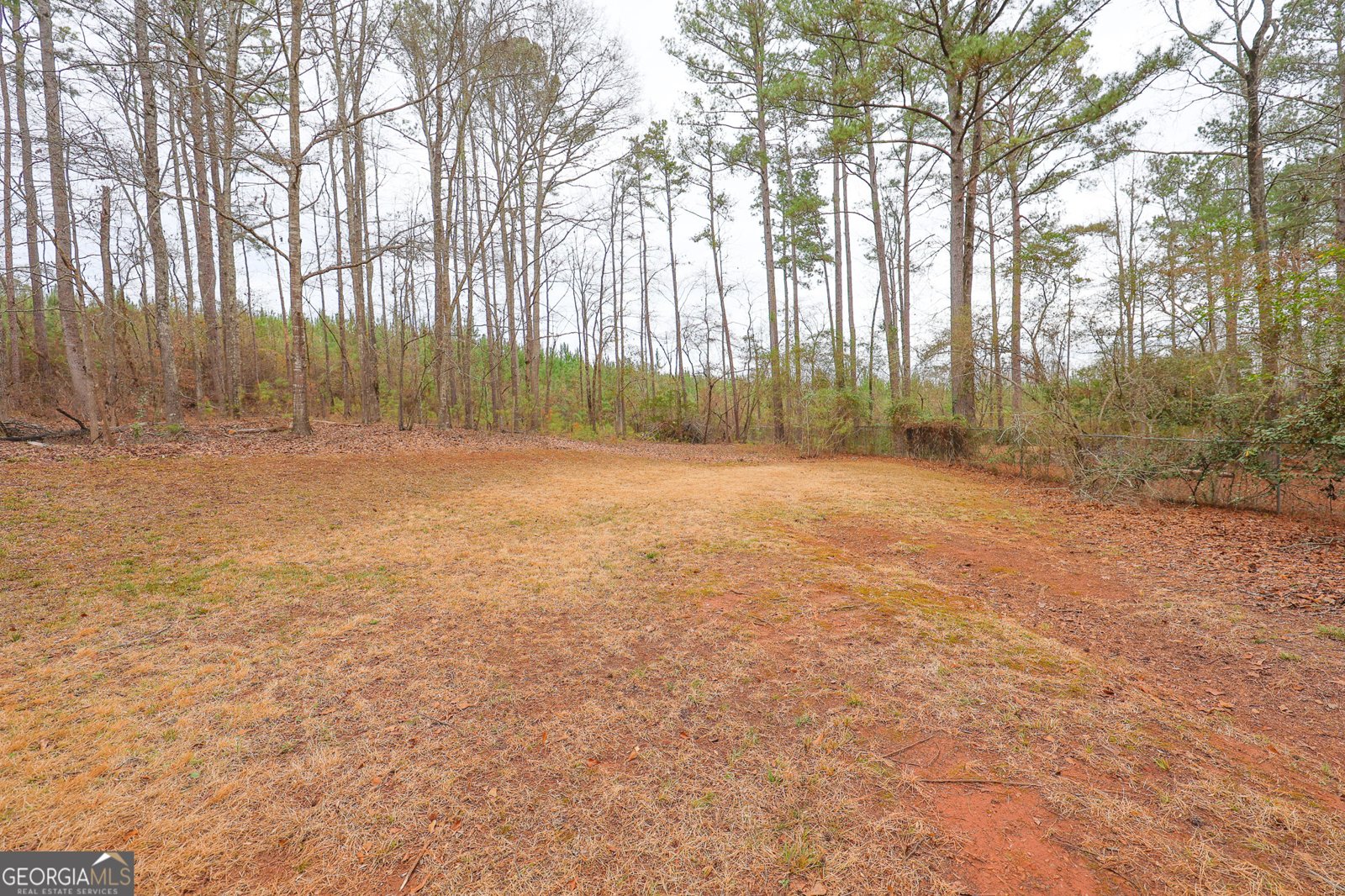 207 View Pointe Drive Lagrange - Photo 64