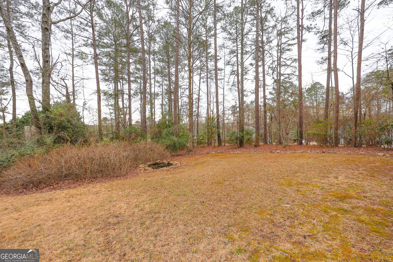 207 View Pointe Drive Lagrange - Photo 65