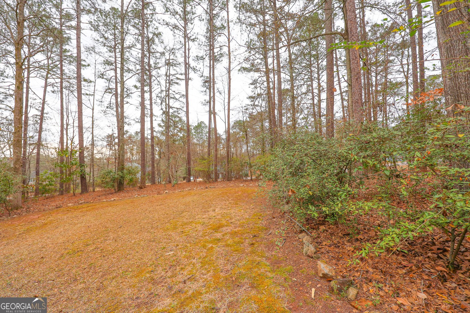 207 View Pointe Drive Lagrange - Photo 66