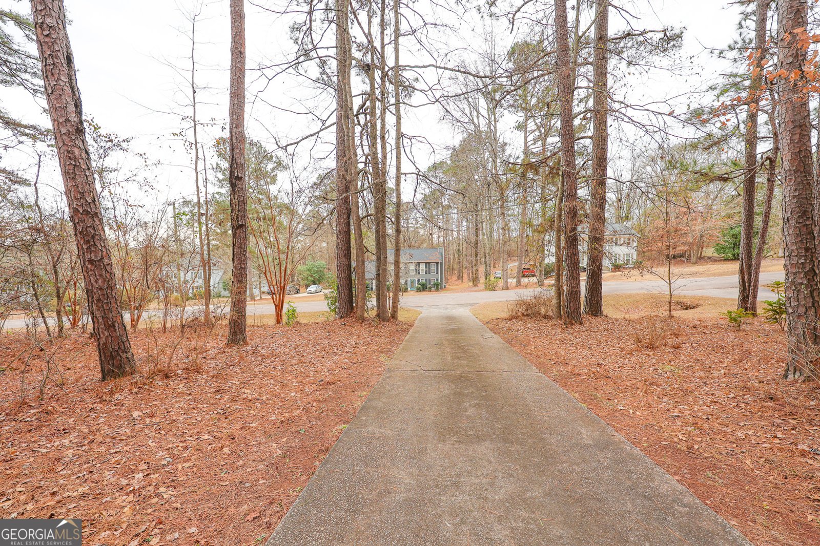 207 View Pointe Drive Lagrange - Photo 67