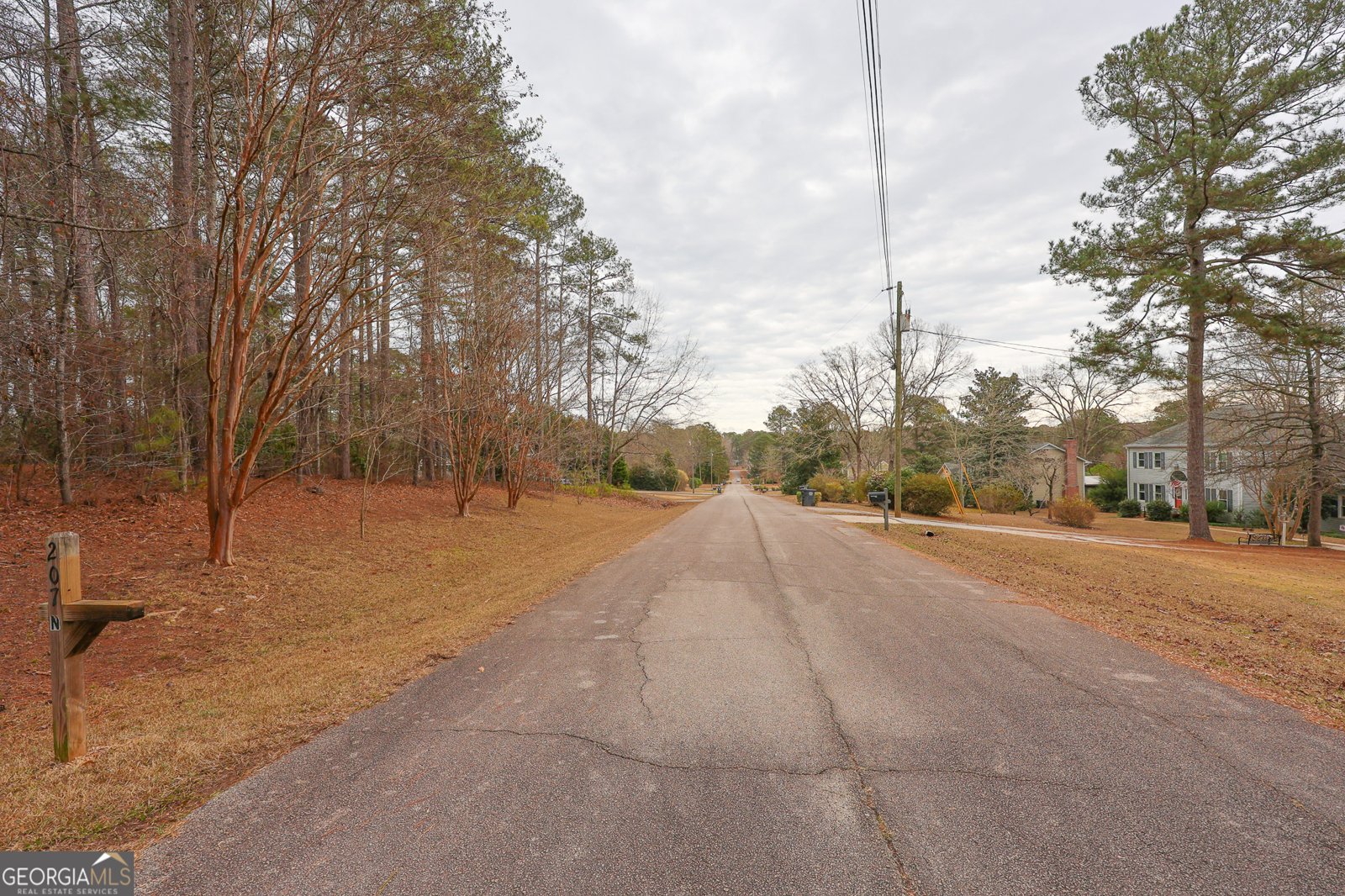 207 View Pointe Drive Lagrange - Photo 71