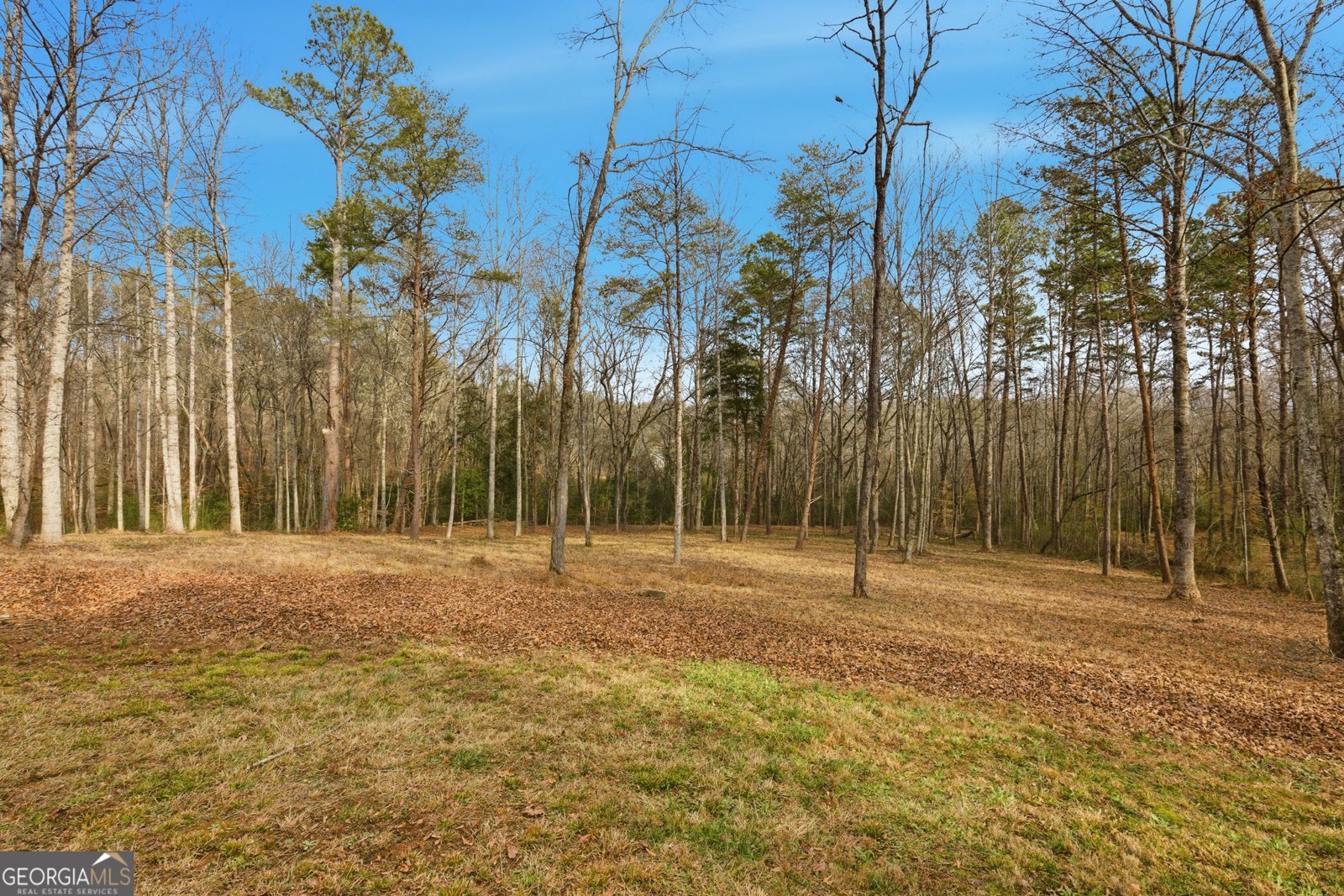 221 Grindstone Creek Drive Clarkesville - Photo 41