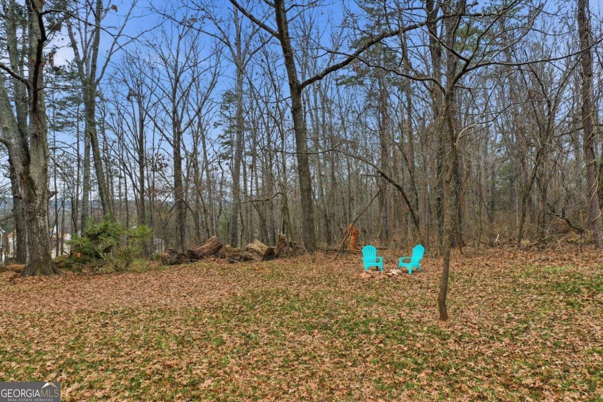 239 Fairview Road Ball Ground - Photo 10