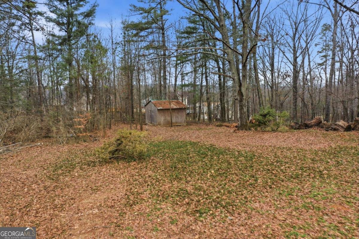 239 Fairview Road Ball Ground - Photo 7