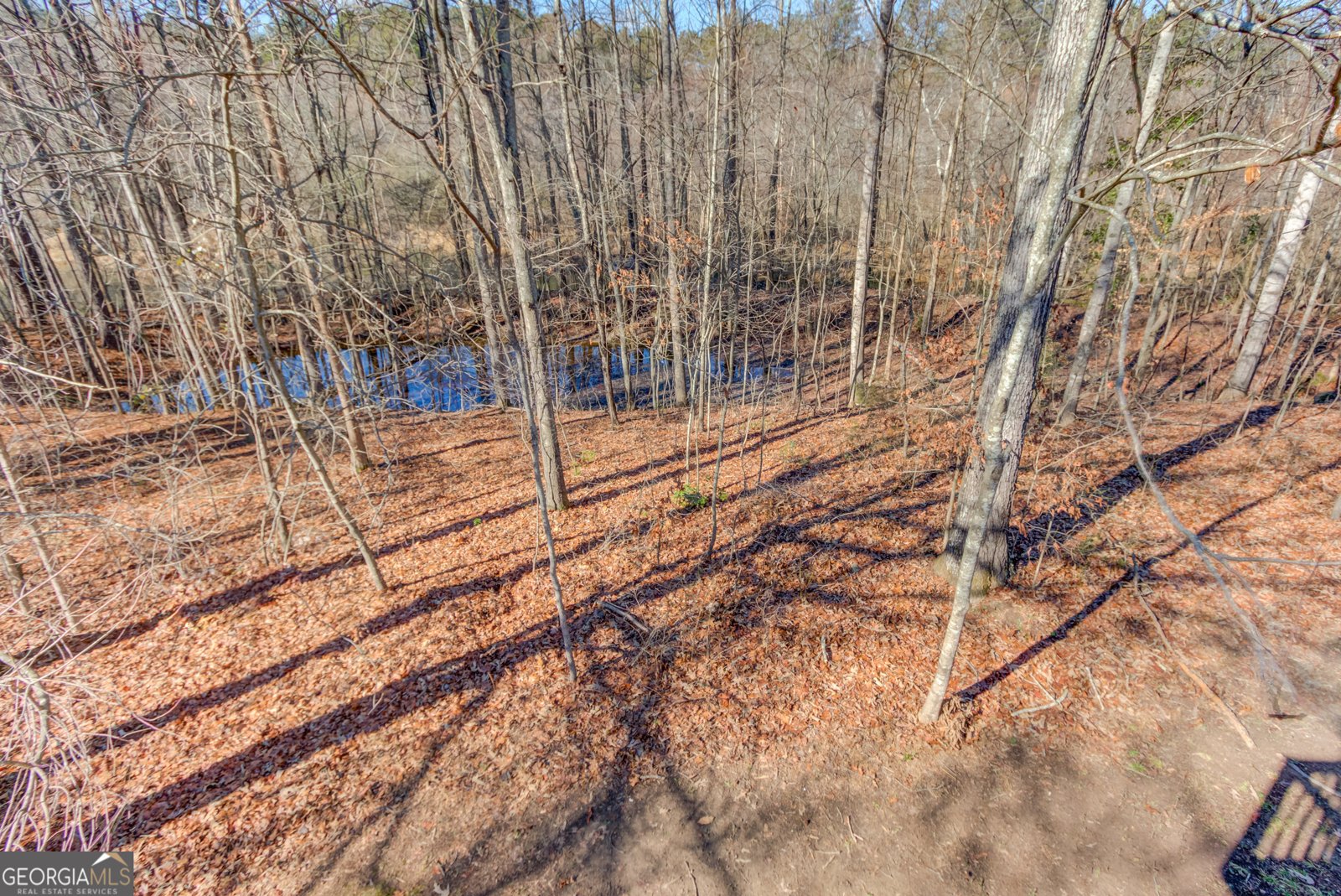 4742 Shay Terrace Buford - Photo 28