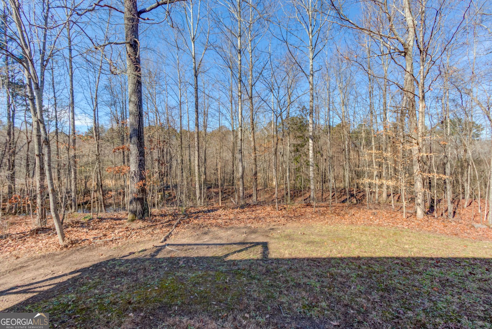 4742 Shay Terrace Buford - Photo 29