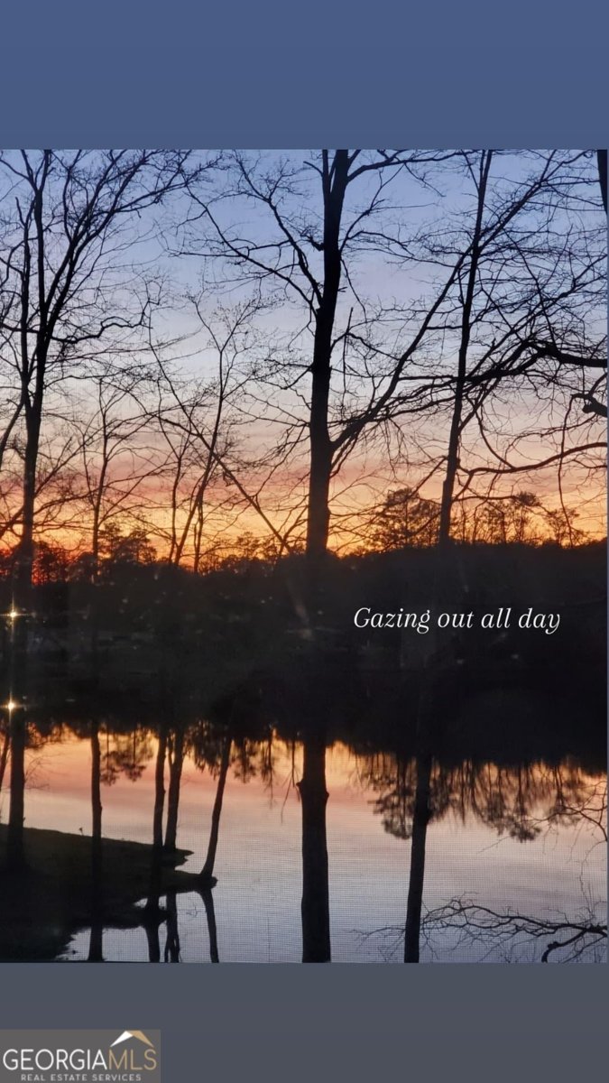 405 Lakeview Way Lagrange - Photo 49