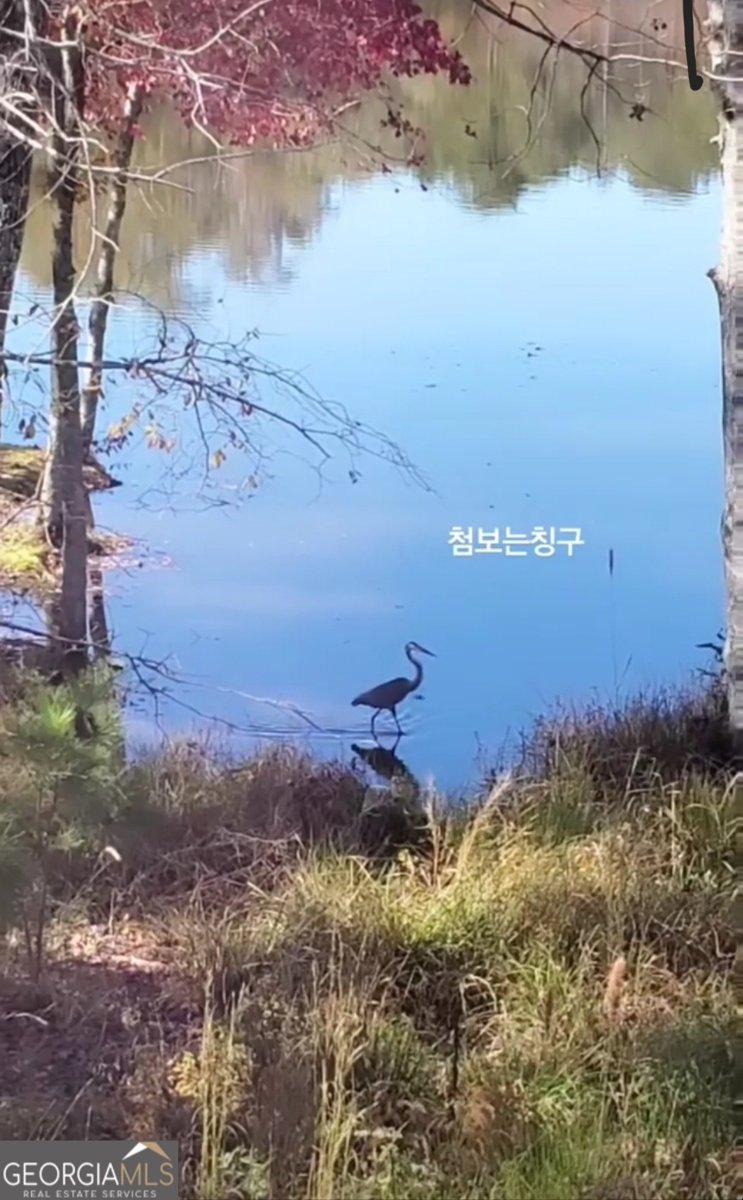 405 Lakeview Way Lagrange - Photo 50