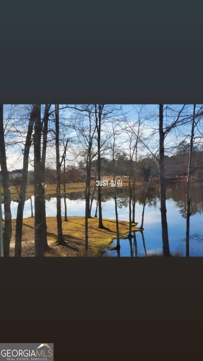 405 Lakeview Way Lagrange - Photo 51