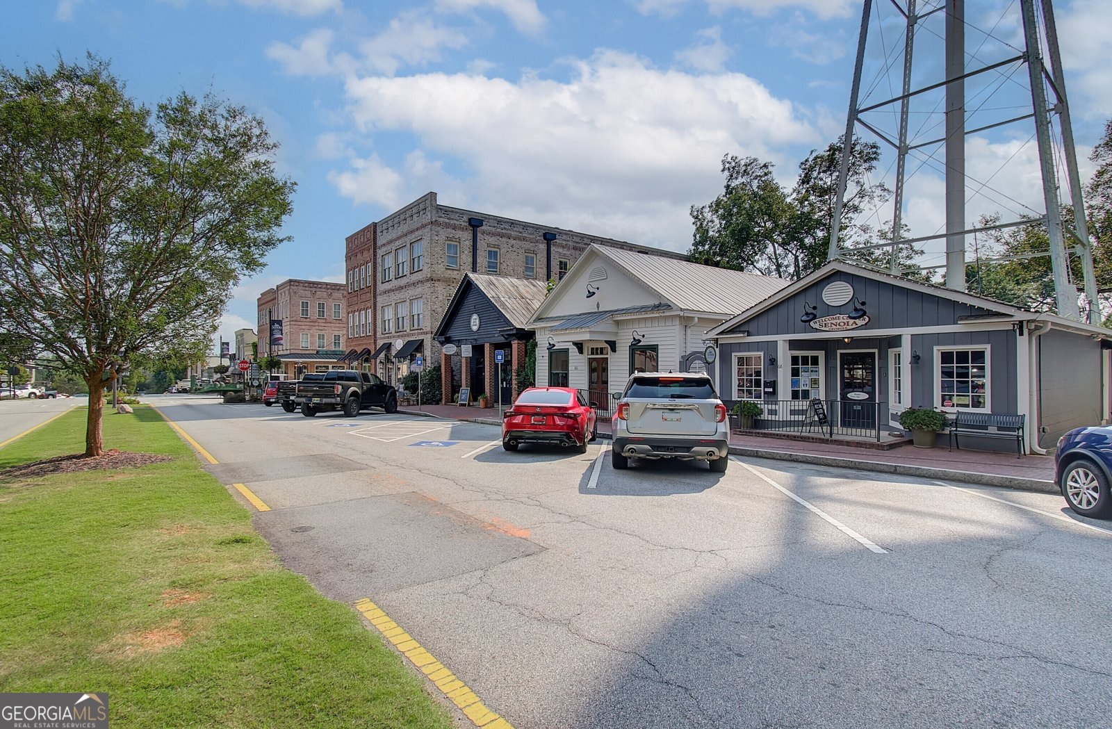 137 Saddleridge Trail Senoia - Photo 41