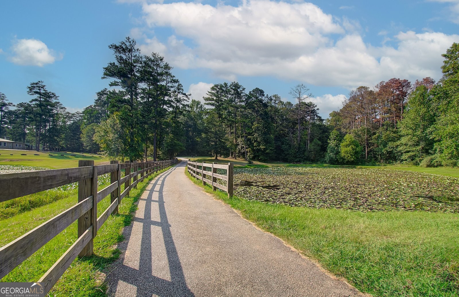 137 Saddleridge Trail Senoia - Photo 47