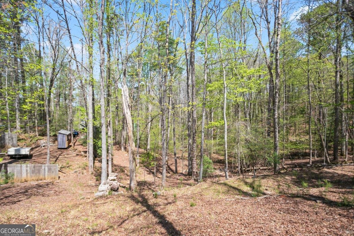 1466 NEWPORT Drive Ellijay - Photo 26