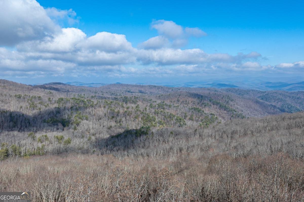 168 Burnt Mountain Cove Road Jasper - Photo 47