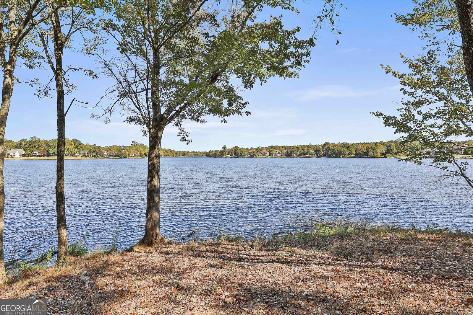 49 Leverett Drive Newnan - Photo 57