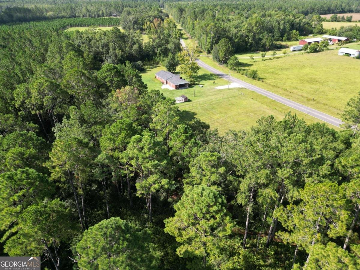 1597 Dairy Road Hinesville - Photo 51