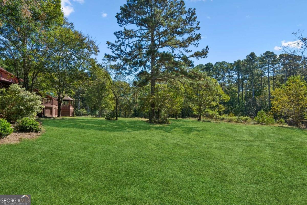 2905 Cammie Wages Road Dacula - Photo 51