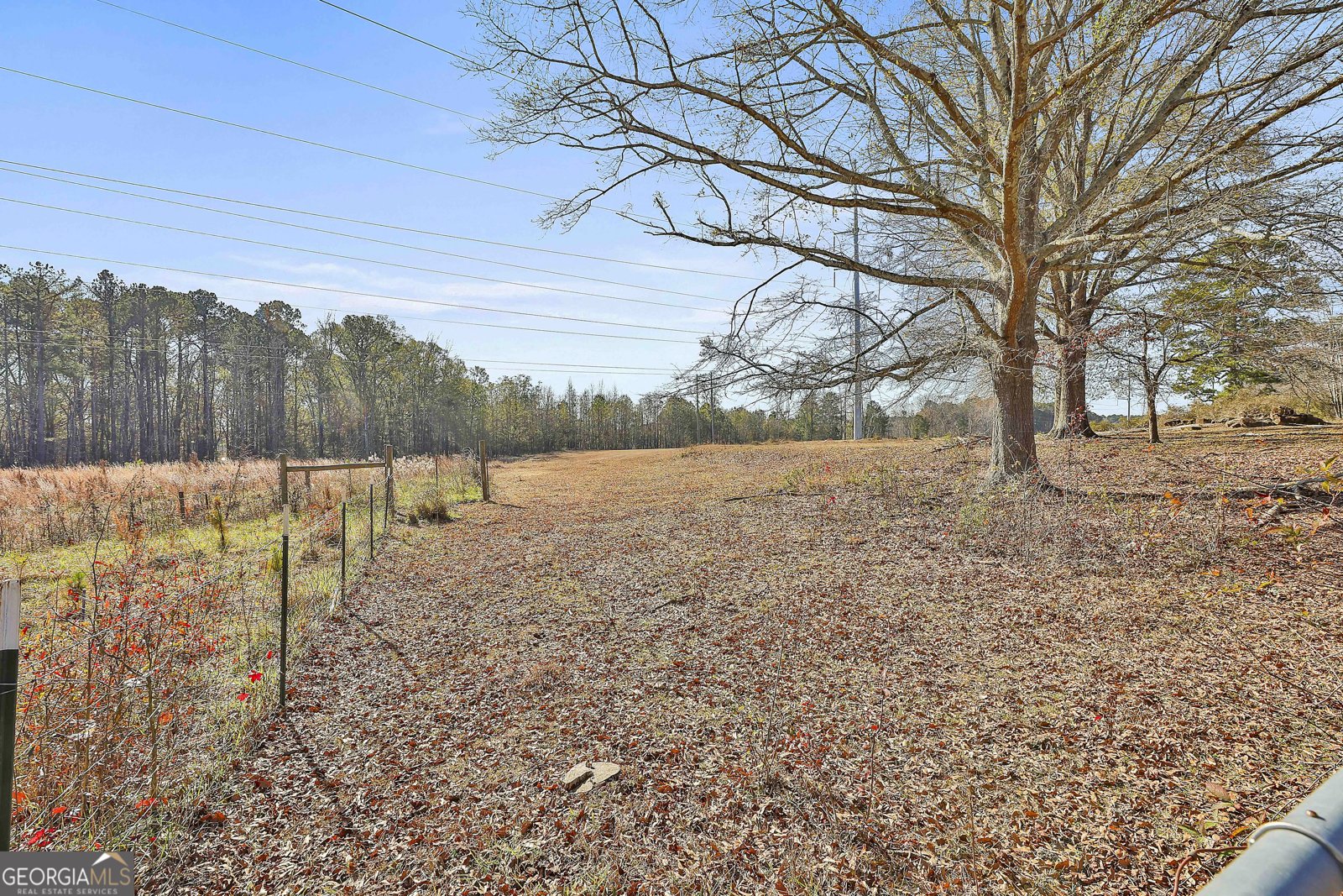 8420 Cleckler Road Palmetto - Photo 39