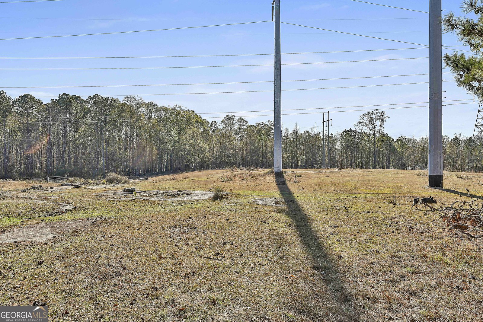 8420 Cleckler Road Palmetto - Photo 59