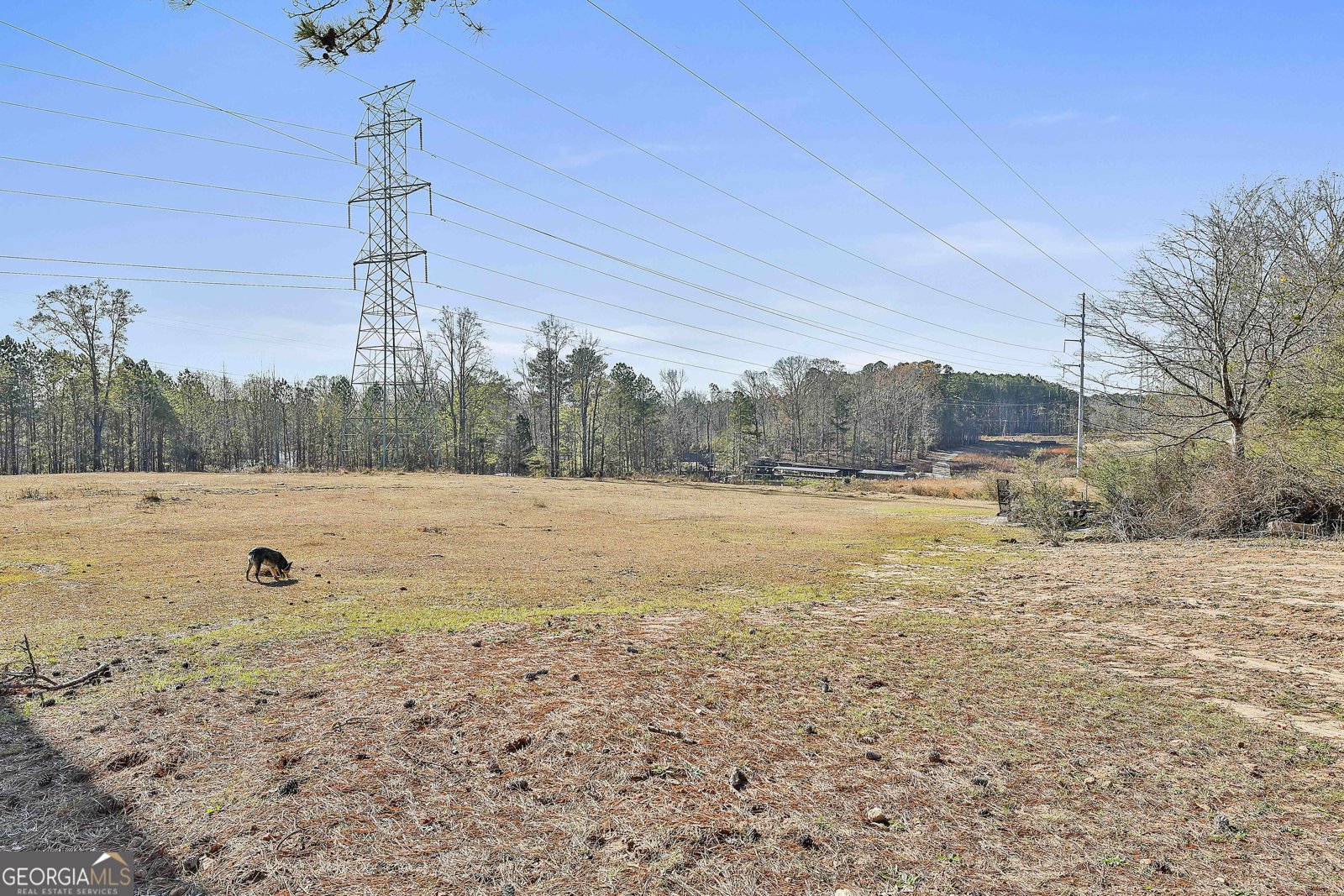 8420 Cleckler Road Palmetto - Photo 60