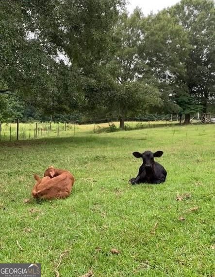 8420 Cleckler Road Palmetto - Photo 65