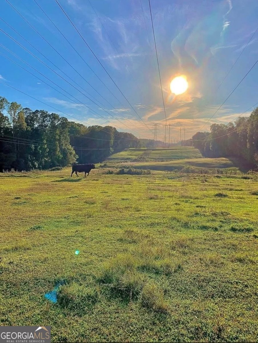 8420 Cleckler Road Palmetto - Photo 68