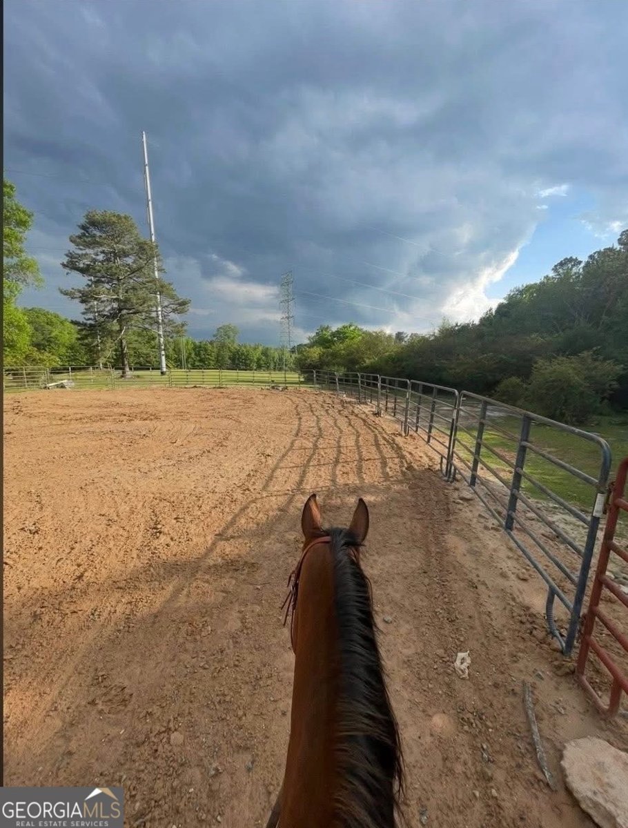 8420 Cleckler Road Palmetto - Photo 71