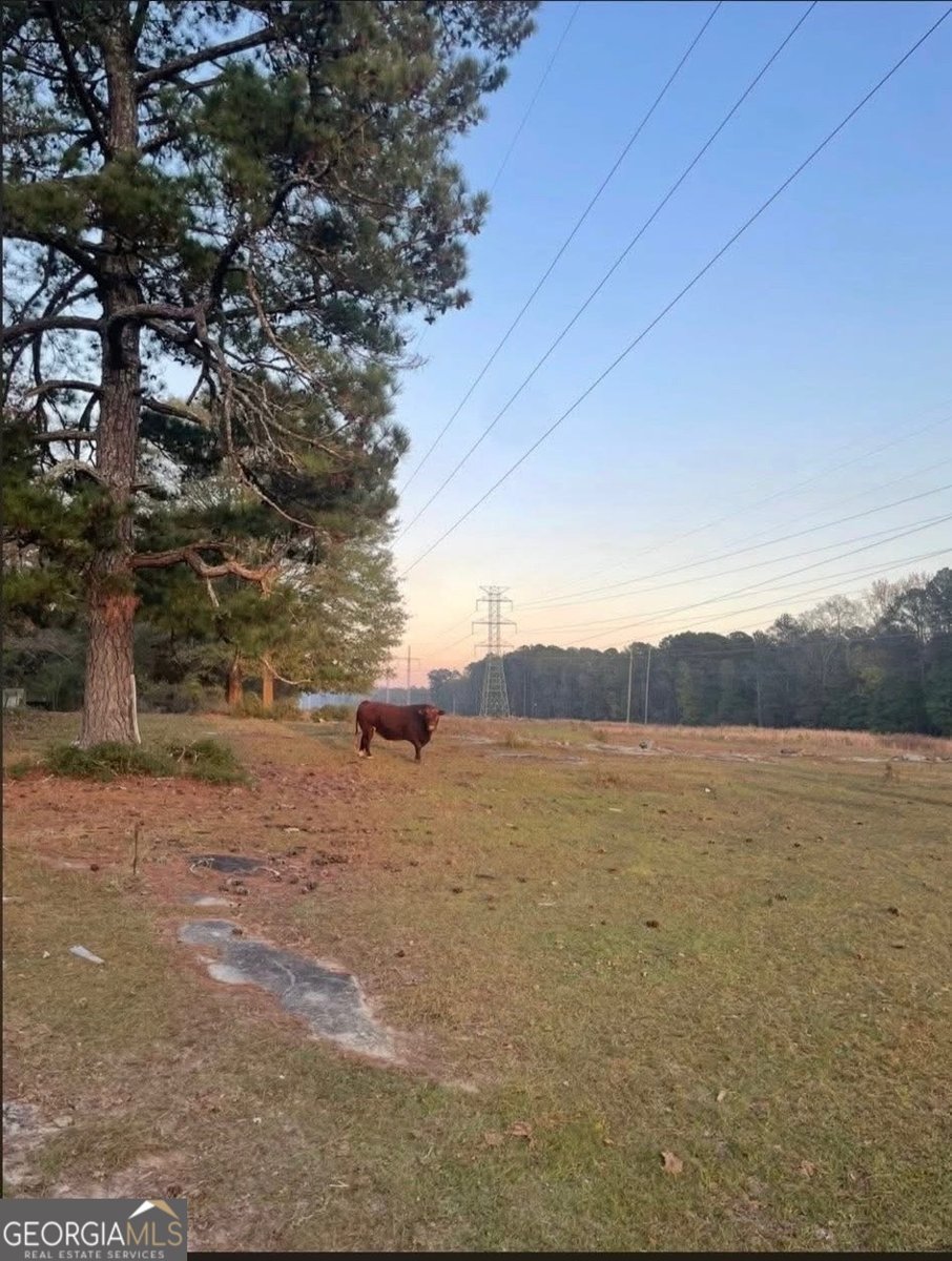 8420 Cleckler Road Palmetto - Photo 72