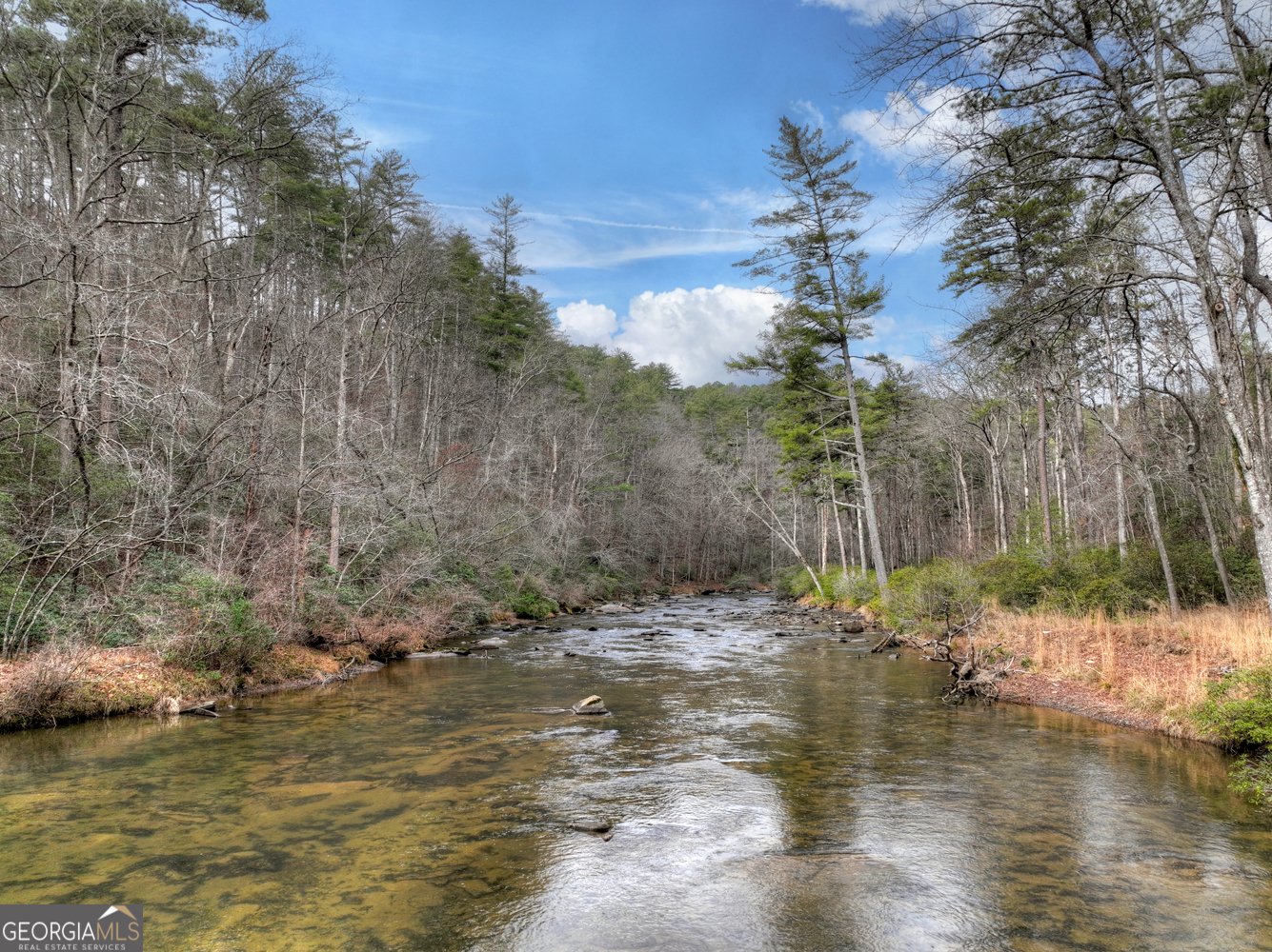 541 Hillsdale Drive Ellijay - Photo 11