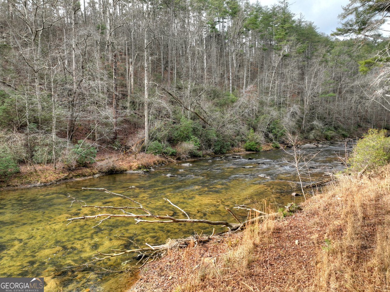 541 Hillsdale Drive Ellijay - Photo 14