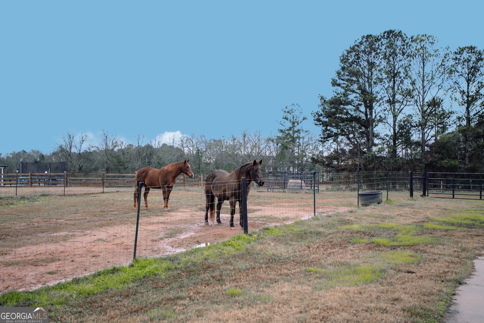 3221 Hollonville Road Williamson - Photo 42