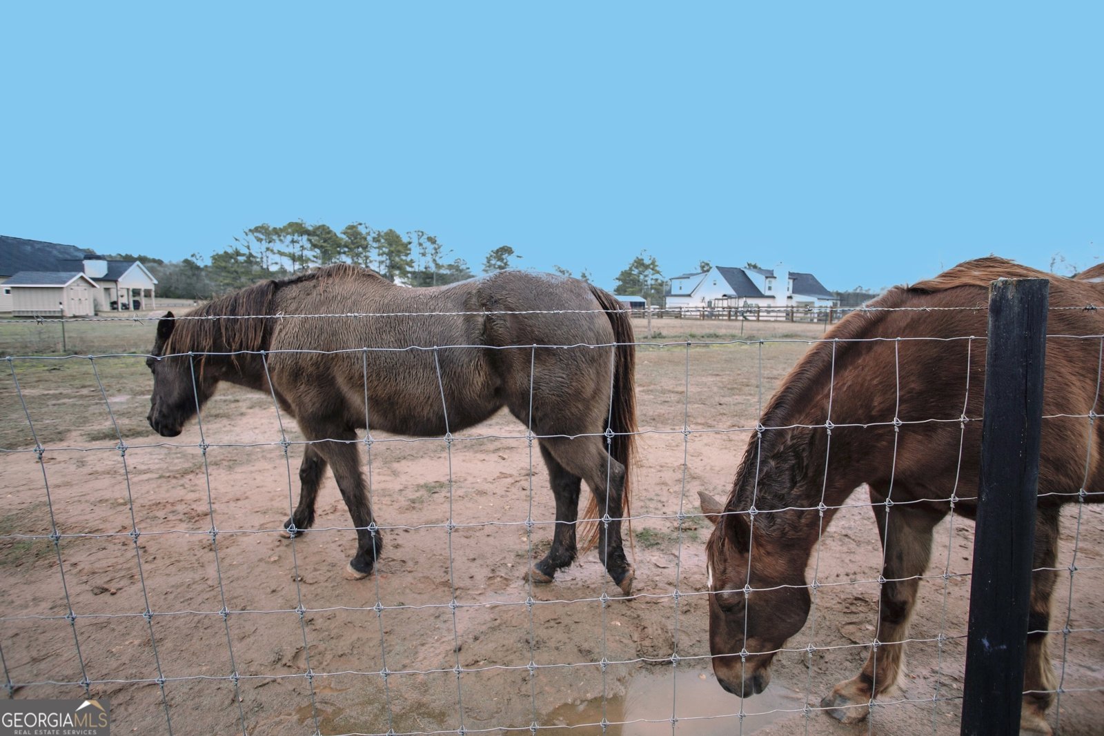 3221 Hollonville Road Williamson - Photo 43