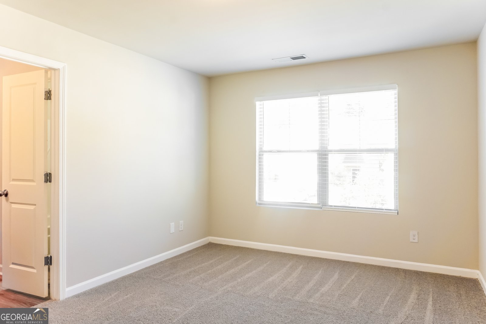 147 Daisy Circle McDonough - Photo 10