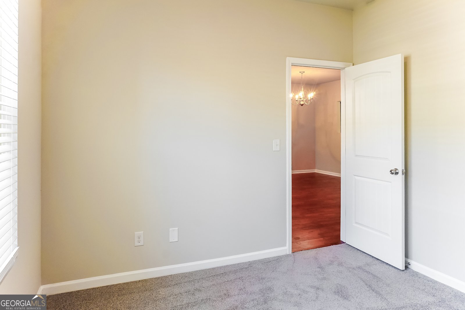 147 Daisy Circle McDonough - Photo 12