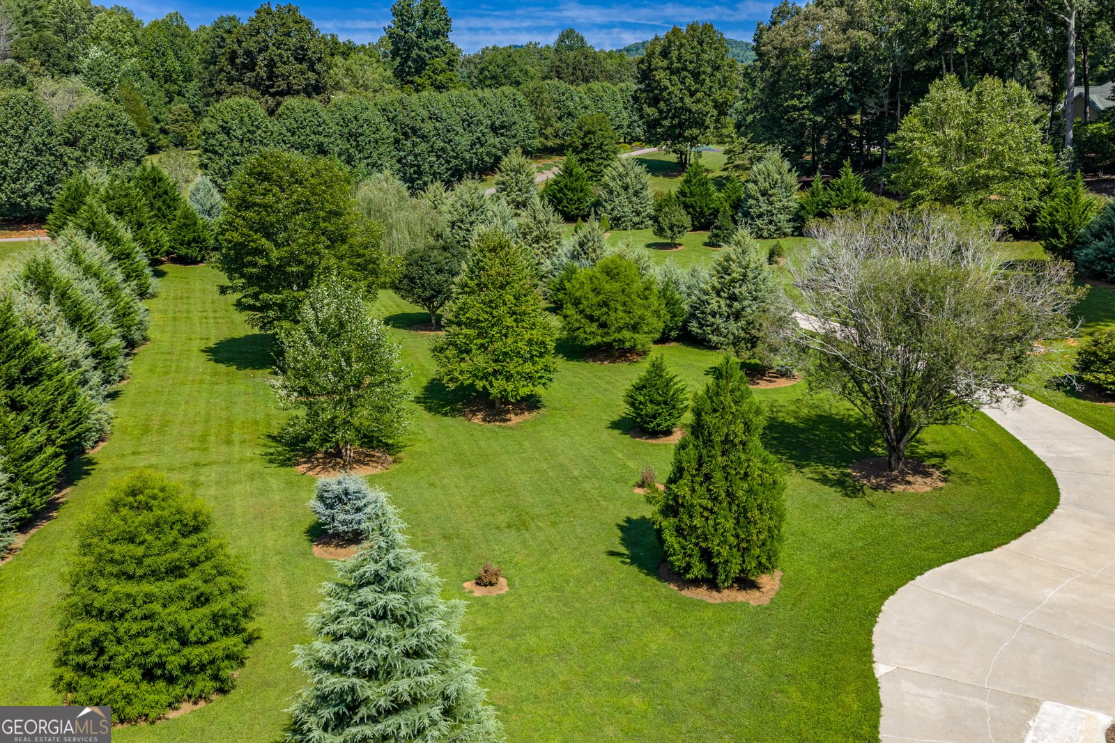 198 Stonecreek Drive Franklin - Photo 114