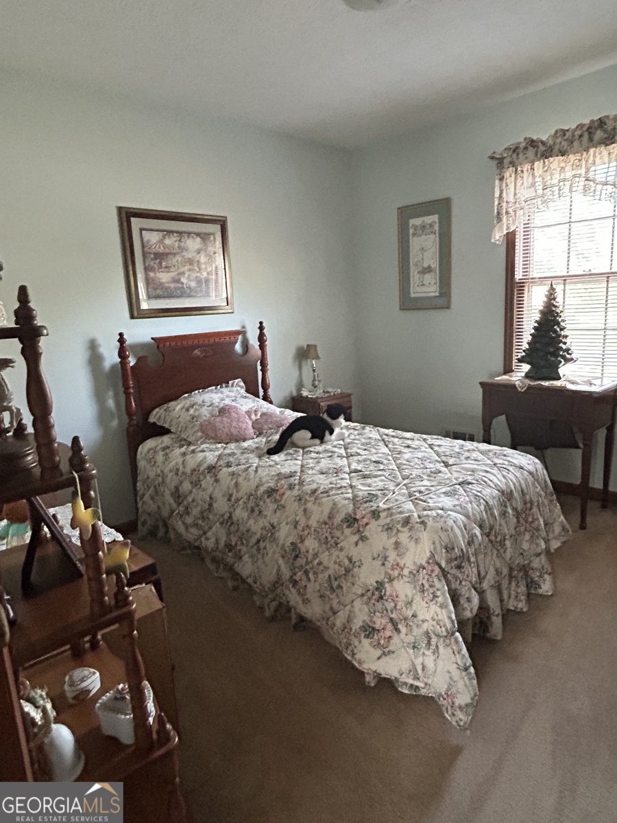 778 Sage Lane Conyers - Photo 11