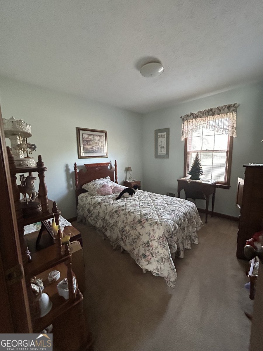 778 Sage Lane Conyers - Photo 12