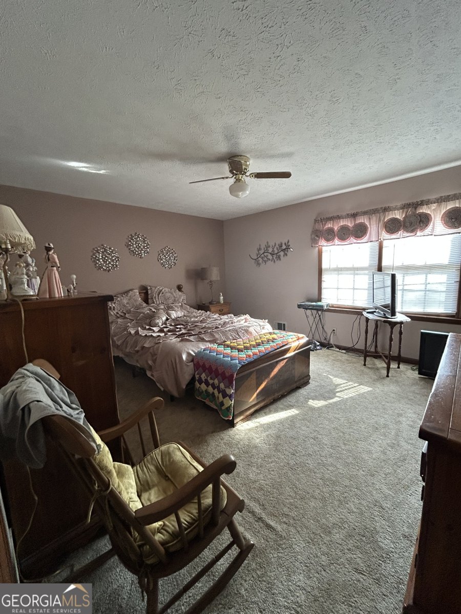 778 Sage Lane Conyers - Photo 13