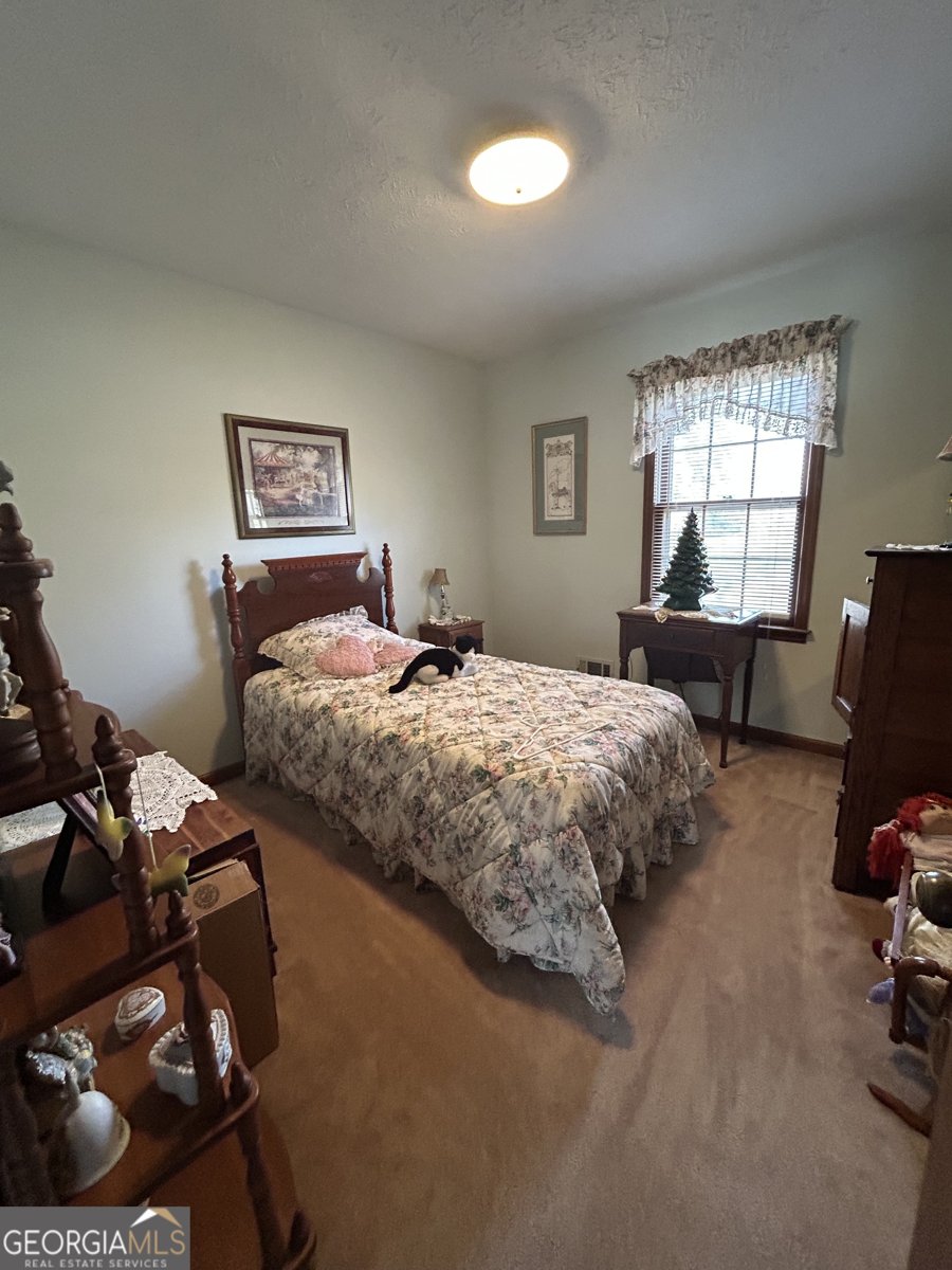 778 Sage Lane Conyers - Photo 17