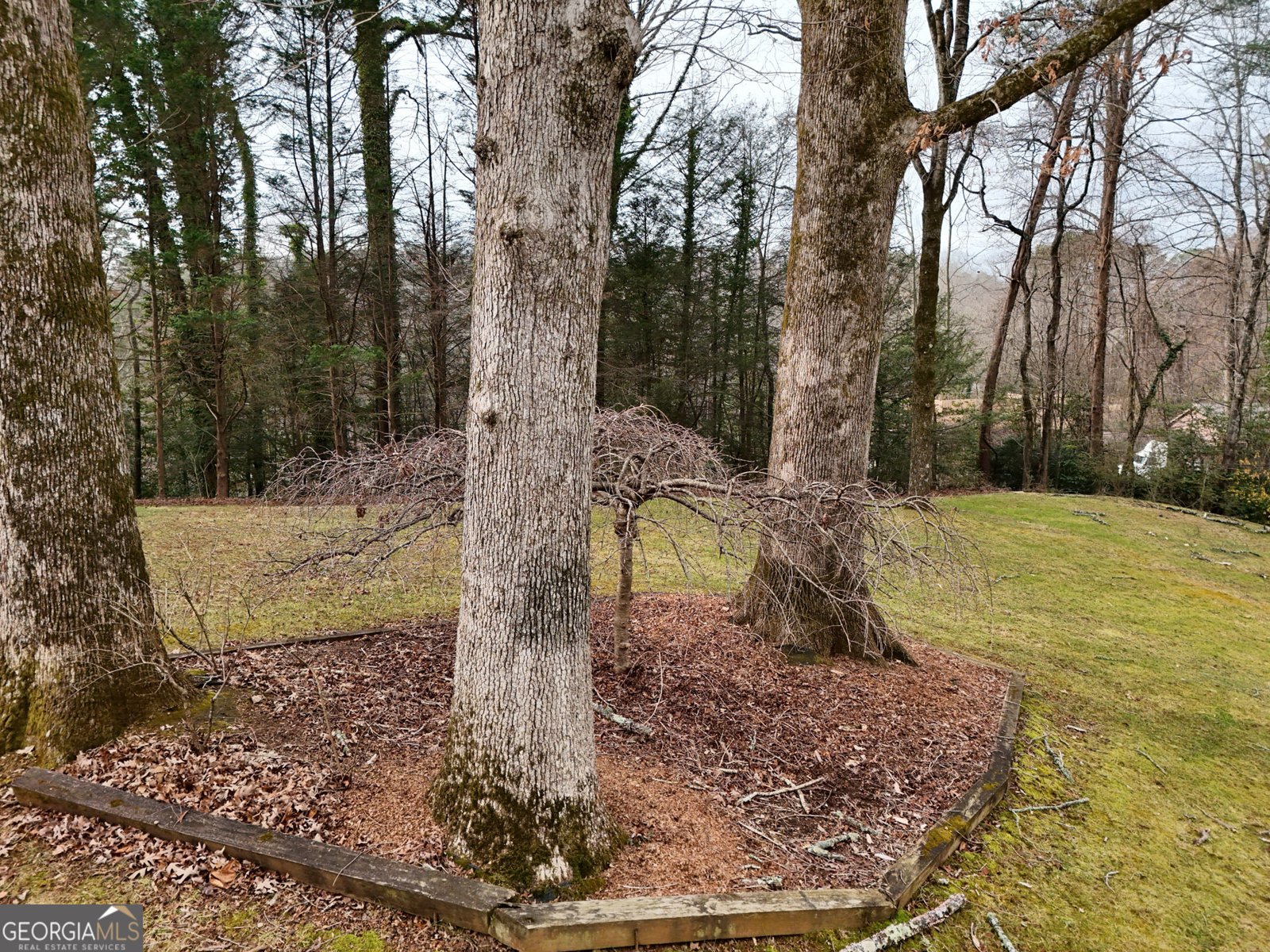 52 Starling Hill Lane Clayton - Photo 26