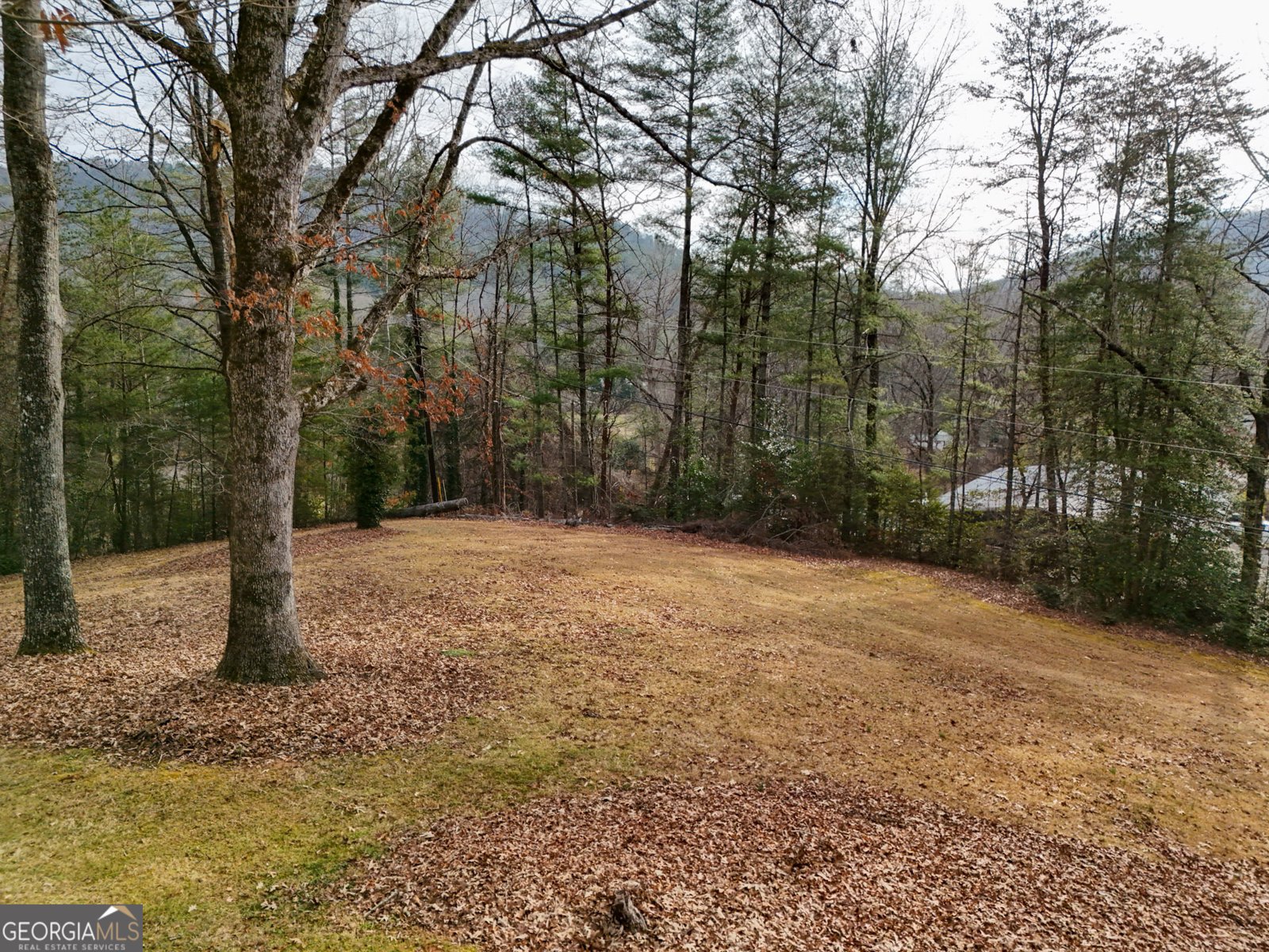 52 Starling Hill Lane Clayton - Photo 27