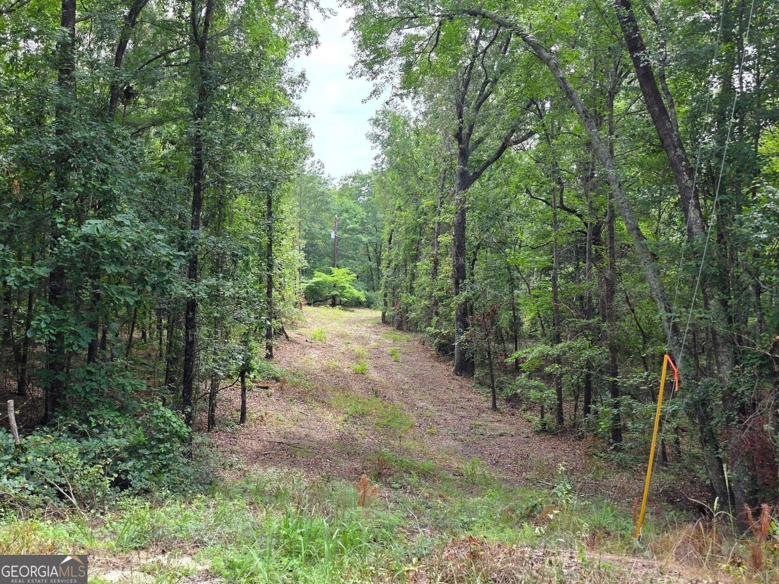 456 Horseshoe Circle Macon - Photo 34