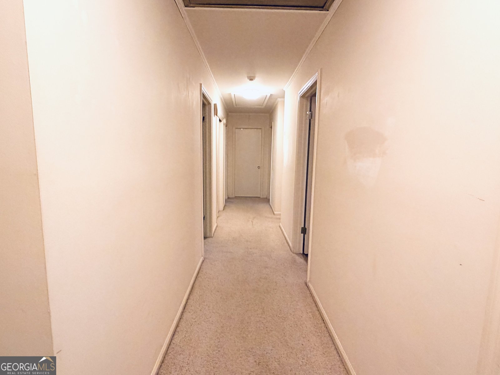 1701 Cedarwood Road Milledgeville - Photo 29