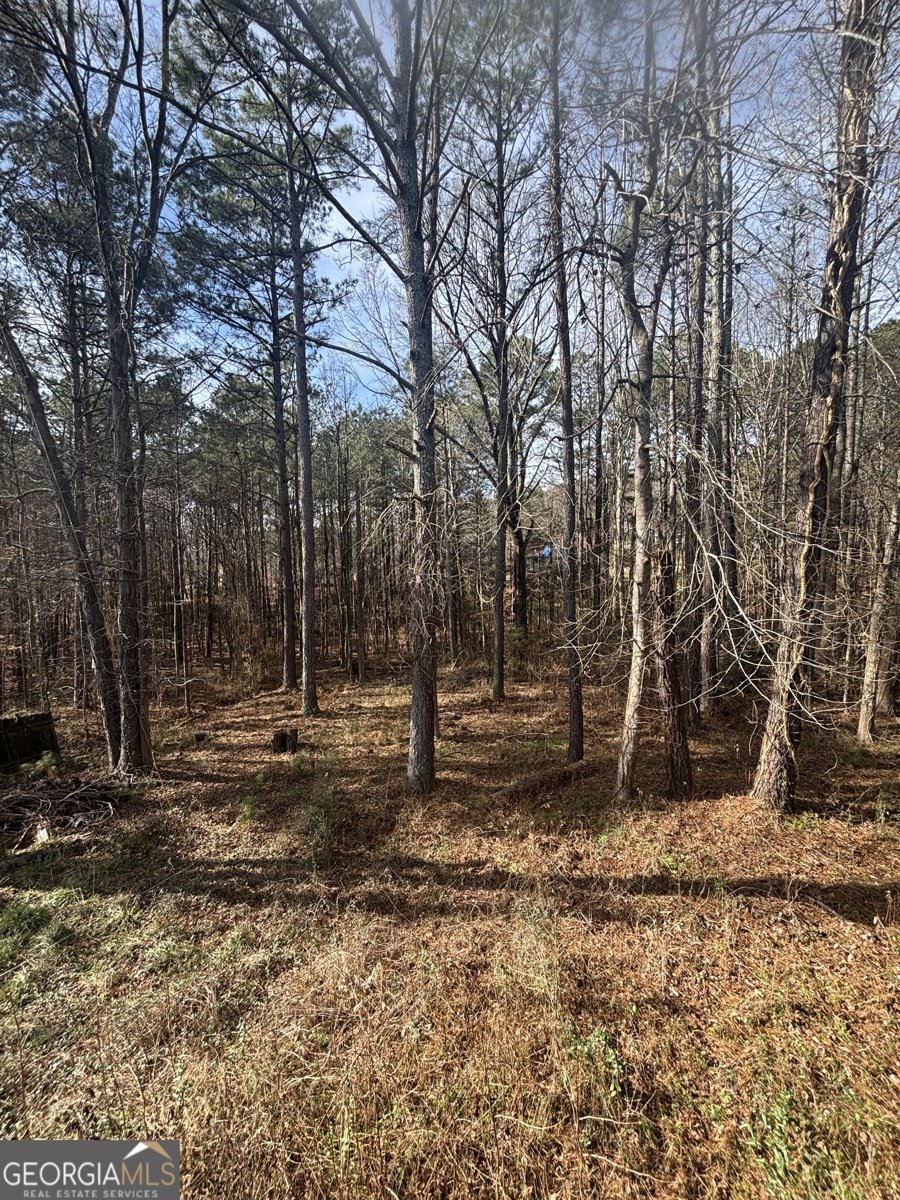 430 Maplewood Lane Acworth - Photo 24