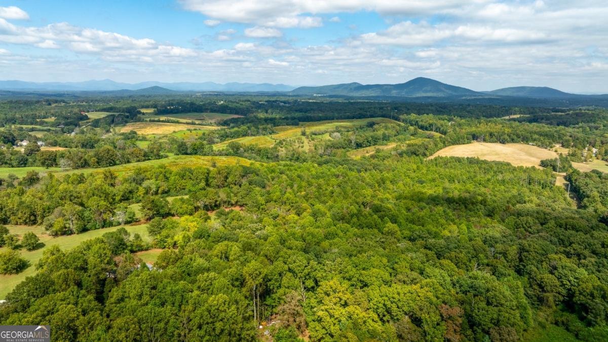 5174 Whitmire Road Gainesville - Photo 31