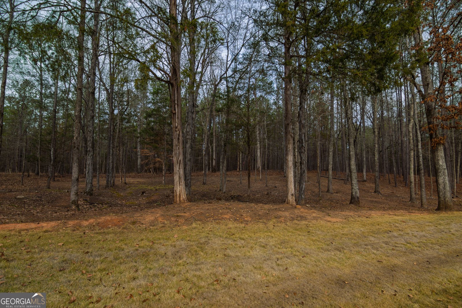 3056 Bentley Drive Upatoi - Photo 58