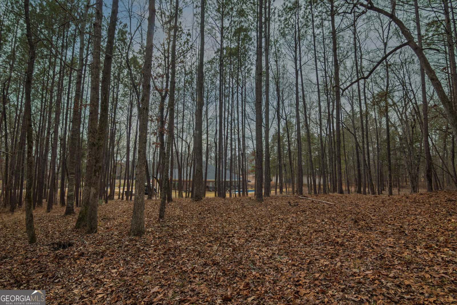 3056 Bentley Drive Upatoi - Photo 59