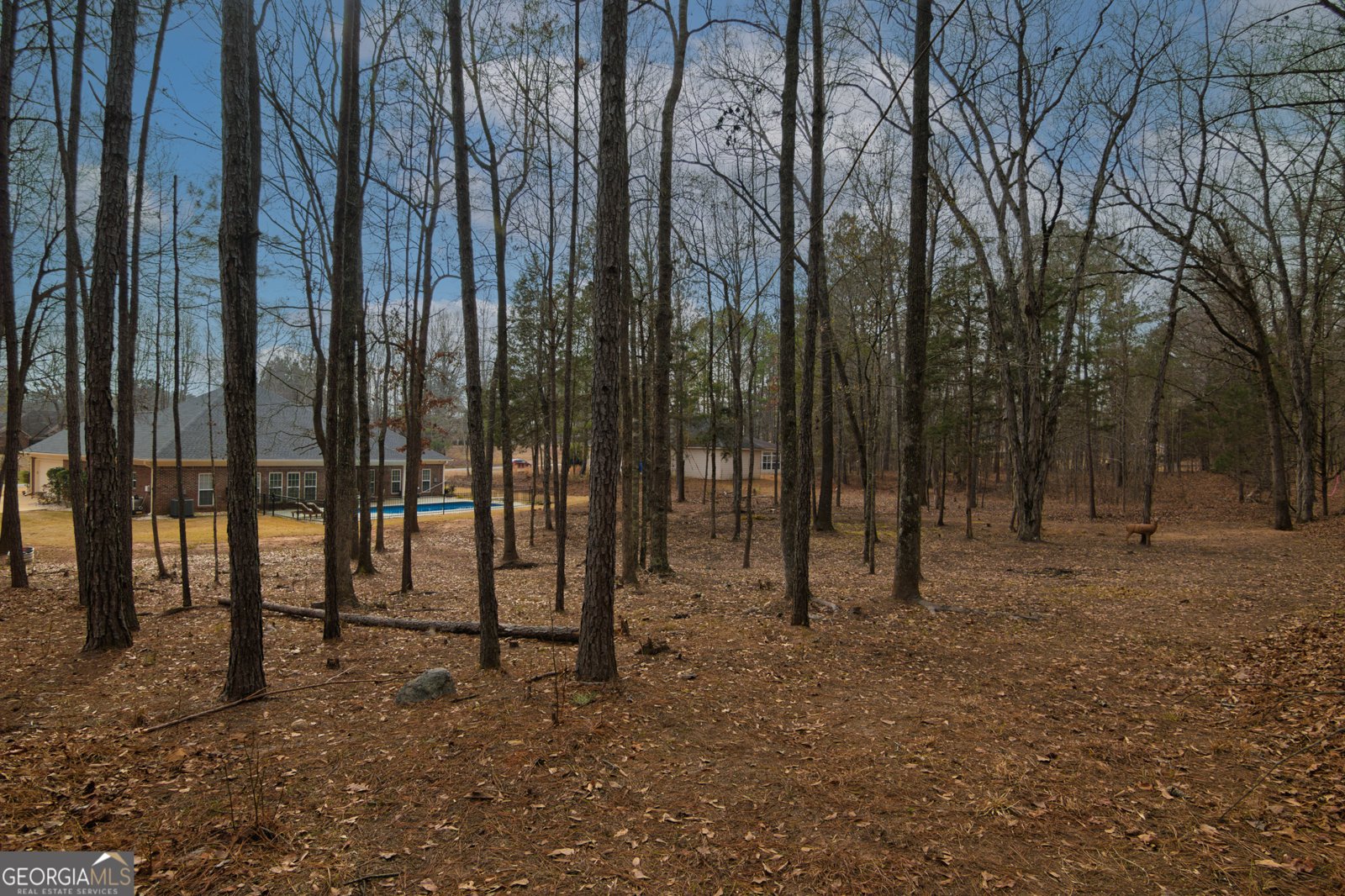 3056 Bentley Drive Upatoi - Photo 60