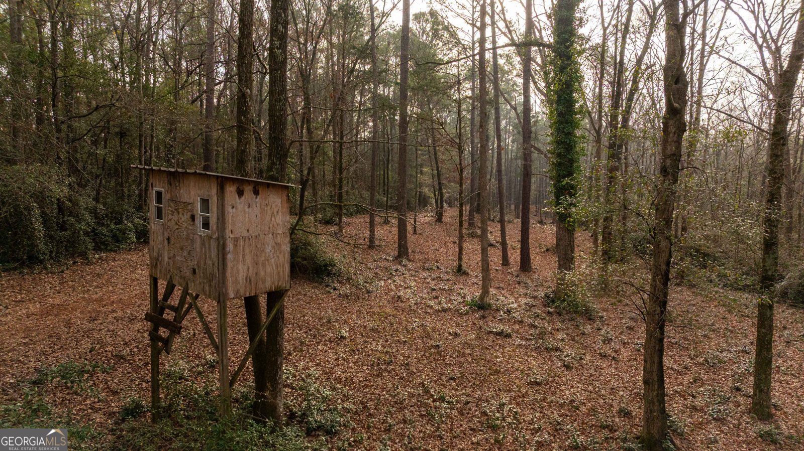 202 Daniel Road Thomaston - Photo 108